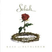 Rose Of Bethlehem