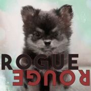 Rogue Rouge