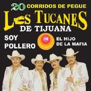 20 Corridos de Pegue