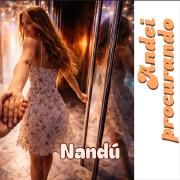 Capa do Single/EP "Andei Procurando", de Nandú