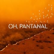 Oh, Pantanal