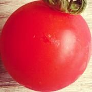 pomodorosa