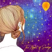 The Night Sky (feat. Shin)