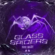 Glass Spiders