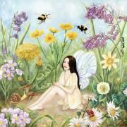 Meadow