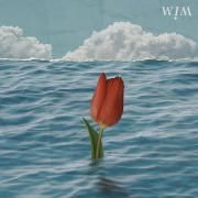 Capa do Single/EP "Weirdo", de WIM