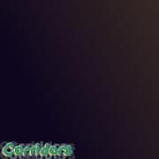 Corridors}