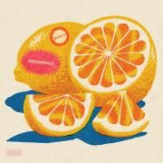 D R E A M S I C L E (deluxe)}