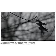 Waiting For A Voice}