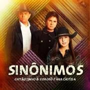 Sinônimos (part. Ana Castela)