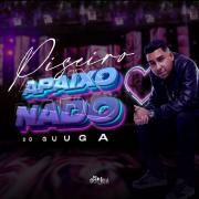 Piseiro Apaixonado do Guuga}