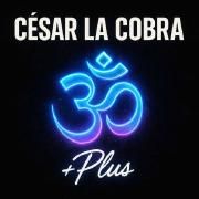 🕉️ +PLUS