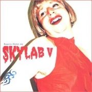 Skylab V