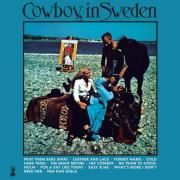 Cowboy In Sweden}