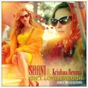 Isn't Love Enough (Arash Mohseni Remix)}