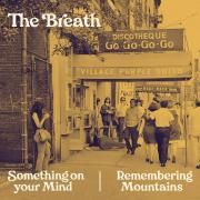 Something On Your Mind / Remembering Mountains}