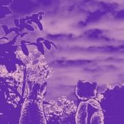 Dias Nublados (part. Naomi e Seus Delírios)}