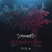 Deadrose