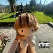 Portada de Sencillo/EP "Tsunami", de FLVCKKA