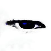 S I N T O N I A EXP ^-^