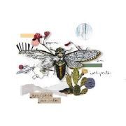 Portada de Sencillo/EP "Agroglifos Em Meu Jardim", de Cigarra Sem Horizonte