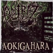 Aokigahara