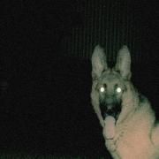 Capa do Single/EP "Algo Que Decirte", de AppleCats