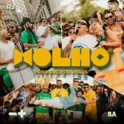 Molho (Ao Vivo)}