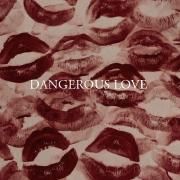 Dangerous Love (Deluxe Edition)}