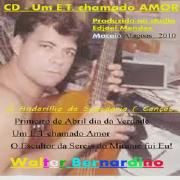 O Andarilho da Sabedoria}