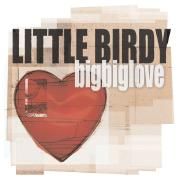 Bigbiglove