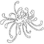 Capa do Single/EP "olhe pra mim", de leeroy9k