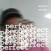 Perfect