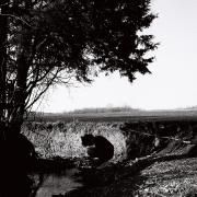 Capa do Single/EP "how many", de Jake Minch