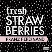 Fresh Strawberries