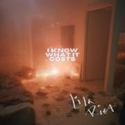 Portada de Sencillo/EP "i know what it costs", de LILA RIOT
