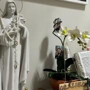 Capa do Single/EP "dona dos meus sonhos (part. auryshanti)", de Franzips