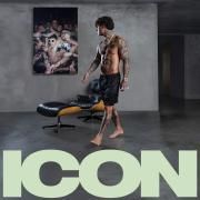 ICON}