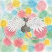 Portada de Álbum "Animaru", de Mei Semones