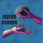 Indigo Zebras