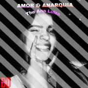 Portada de Sencillo/EP "amor & anarquia DD (1erd mini album)", de The Ana Luiza