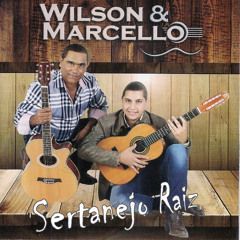 Portada del álbum "Sertanejo Raiz", de Wilson e Marcello