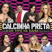 Vol. 23 - Virei Seu Fã (Ao Vivo Na Bahia)