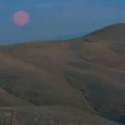 Adonai (Live)}