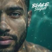 Portada de Álbum "No Meio do Caos", de Blake Seagull