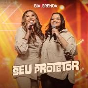 Seu Protetor