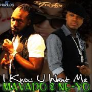 I Know U Want Me (Remix)