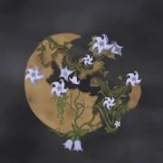 Lua de Flores