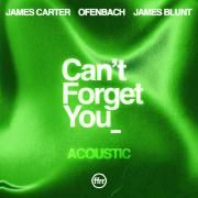 Can't Forget You (Acoustic)