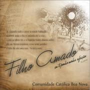 Filho Amado